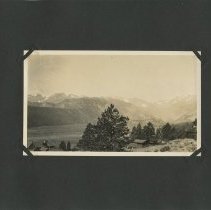 Album, Photograph