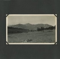 Album, Photograph
