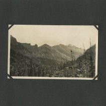Album, Photograph