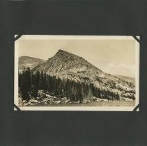 Album, Photograph