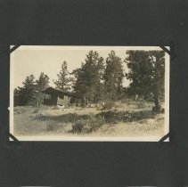 Album, Photograph