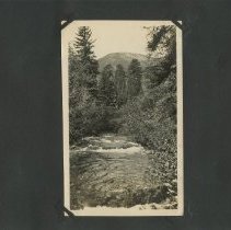 Album, Photograph