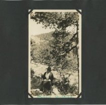 Album, Photograph
