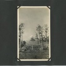 Album, Photograph