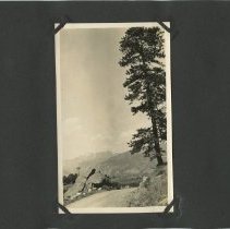 Album, Photograph