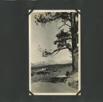 Album, Photograph
