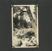 Album, Photograph
