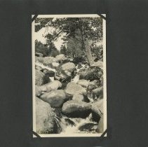 Album, Photograph