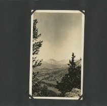 Album, Photograph