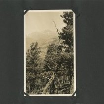 Album, Photograph