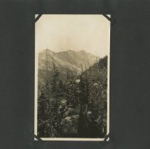 Album, Photograph