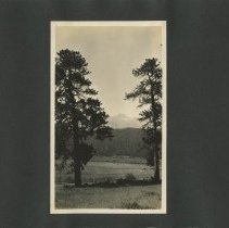 Album, Photograph