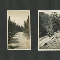 Album, Photograph