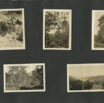 Album, Photograph