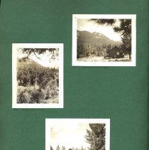 Album, Photograph