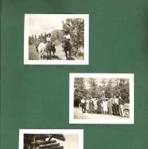 Album, Photograph