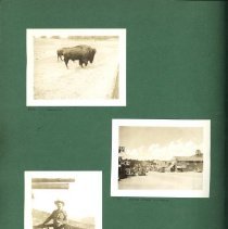Album, Photograph