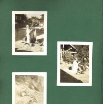 Album, Photograph