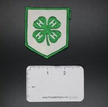 Patch, Insignia