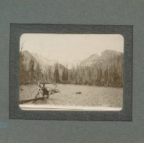 Album, Photograph
