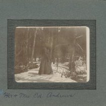 Album, Photograph