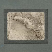 Album, Photograph