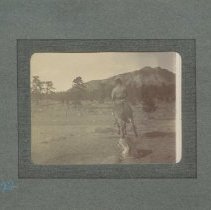 Album, Photograph