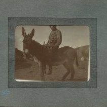 Album, Photograph