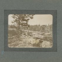 Album, Photograph
