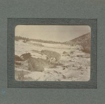 Album, Photograph