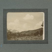 Album, Photograph