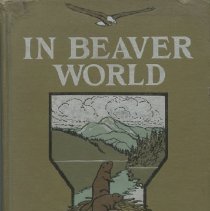 In Beaver World