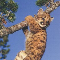 Hanging Out in Colorado