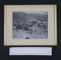 Stage on North St. Vrain Highway about 1900