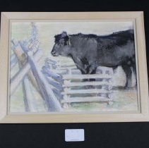 MacGregor Bull 'Reggies at Three Years'