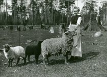 Magnusson farm, Point Roberts, WA