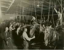 Horse-drawn fire engines, Ballard, 1916