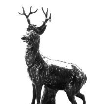 Standing Stag