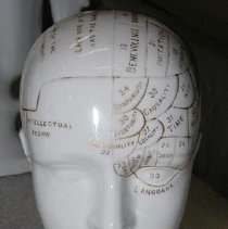 Prenological Head Inkwell