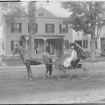 Negative, Glass Plate