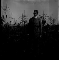 Negative, Glass Plate