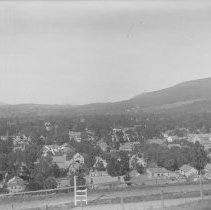 Negative, Glass Plate