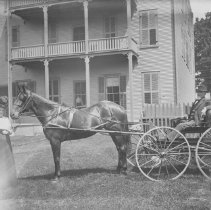 Negative, Glass Plate
