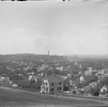 Negative, Glass Plate