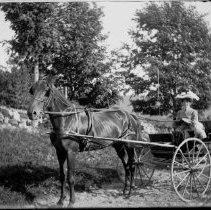 Negative, Glass Plate