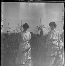 Negative, Glass Plate