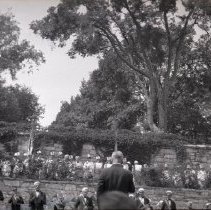 Negative, Sheet Film