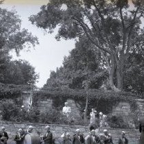 Negative, Sheet Film