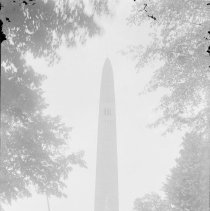 Negative, Glass Plate