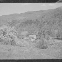 Negative, Sheet Film